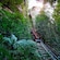 The Scenic Railway, a passenger tram riding through the lush Blue Mountains in Sydney, Australia